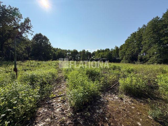 Działka inwestycyjna Iława, wyspa Wielka Żuława. Zdjęcie 9