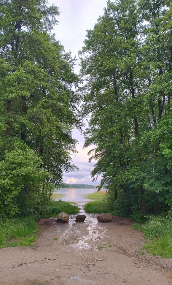 Działka budowlana Jeleńska Huta. Zdjęcie 4