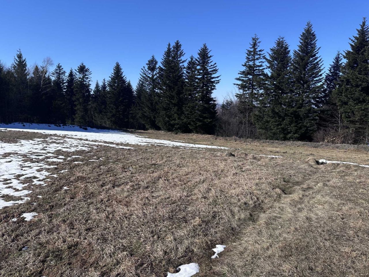 Działka budowlana Bogdanówka. Zdjęcie 5