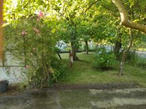 Działka rod Wilkanowo. Zdjęcie 1