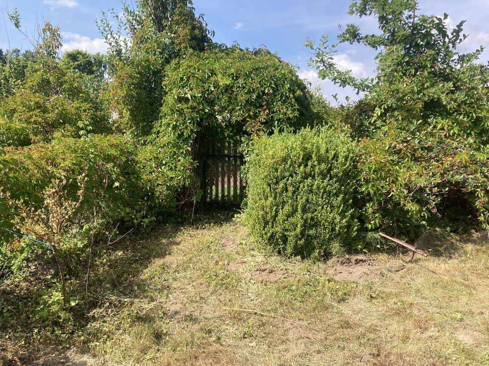 Działka rekreacyjna Przywidz, ul. Jesionowa. Zdjęcie 8