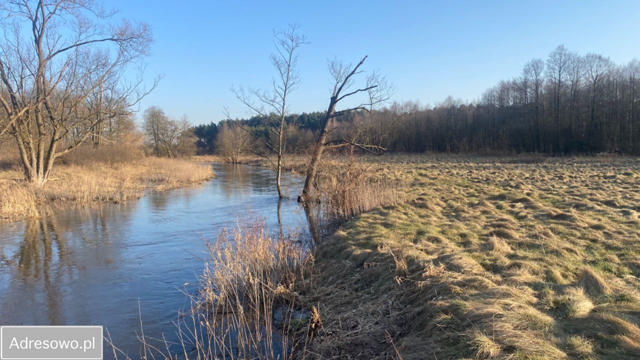 Działka siedliskowa Dobrzyniec. Zdjęcie 18