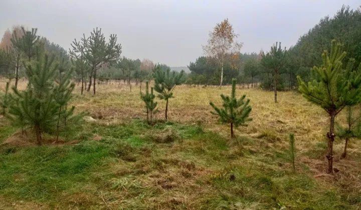 Działka rolna Mstów