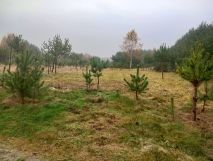 Działka rolna Mstów