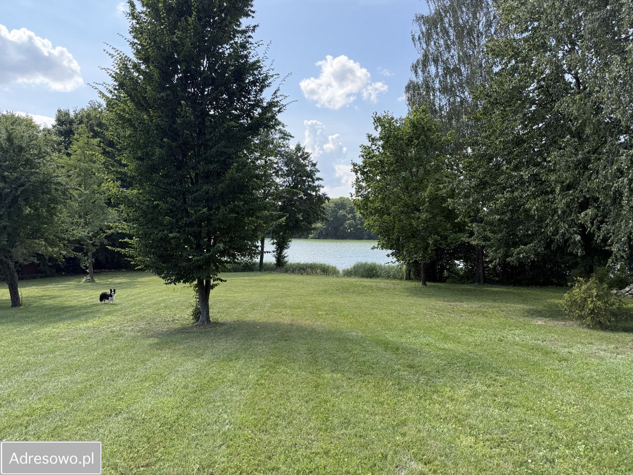 Działka budowlana Stare Kiejkuty. Zdjęcie 14