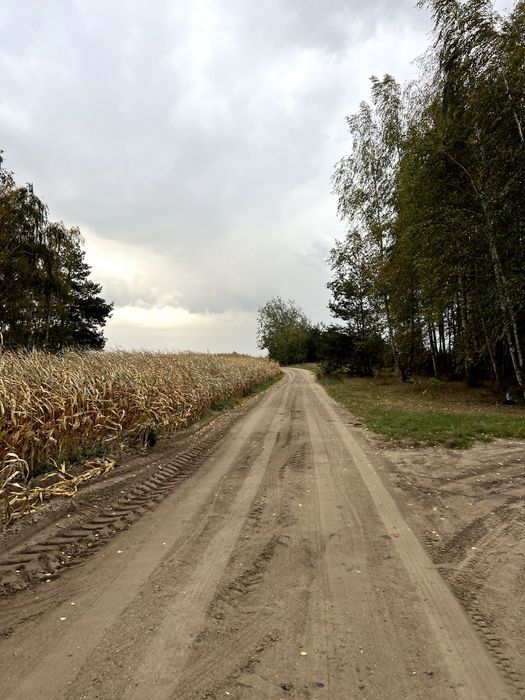 Działka budowlana Olszanka. Zdjęcie 5