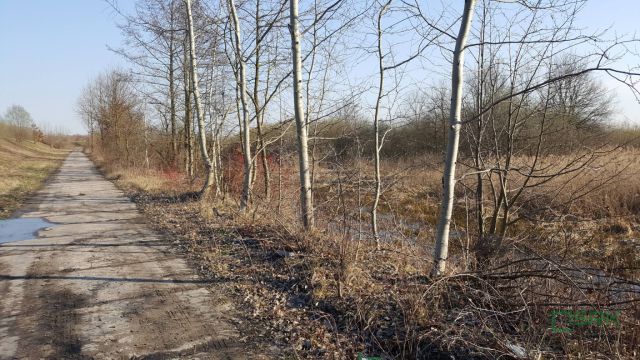 Działka Kaniów. Zdjęcie 3