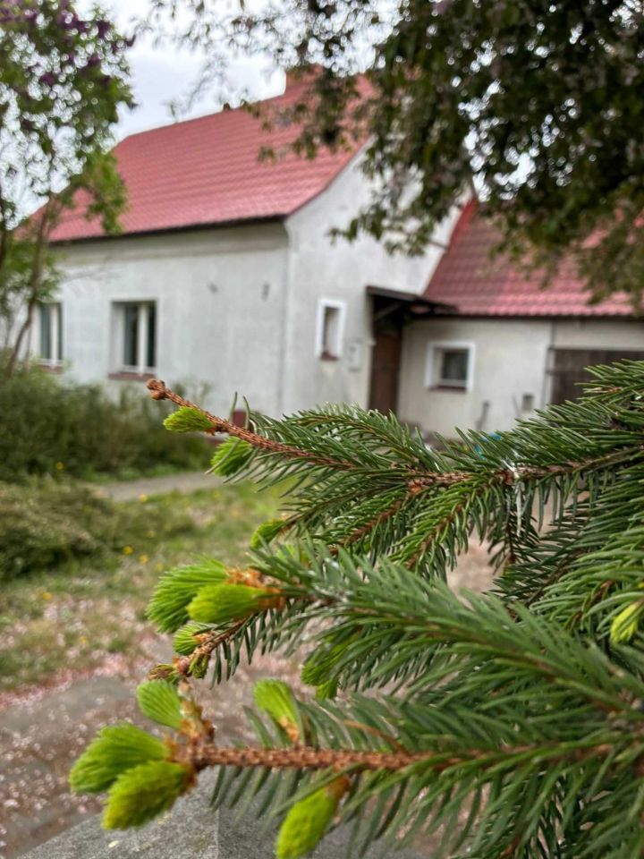 dom wolnostojący Nidzica, ul. Linki. Zdjęcie 2