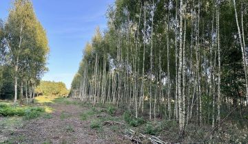 Działka budowlana Ciężków, ul. Akacjowa