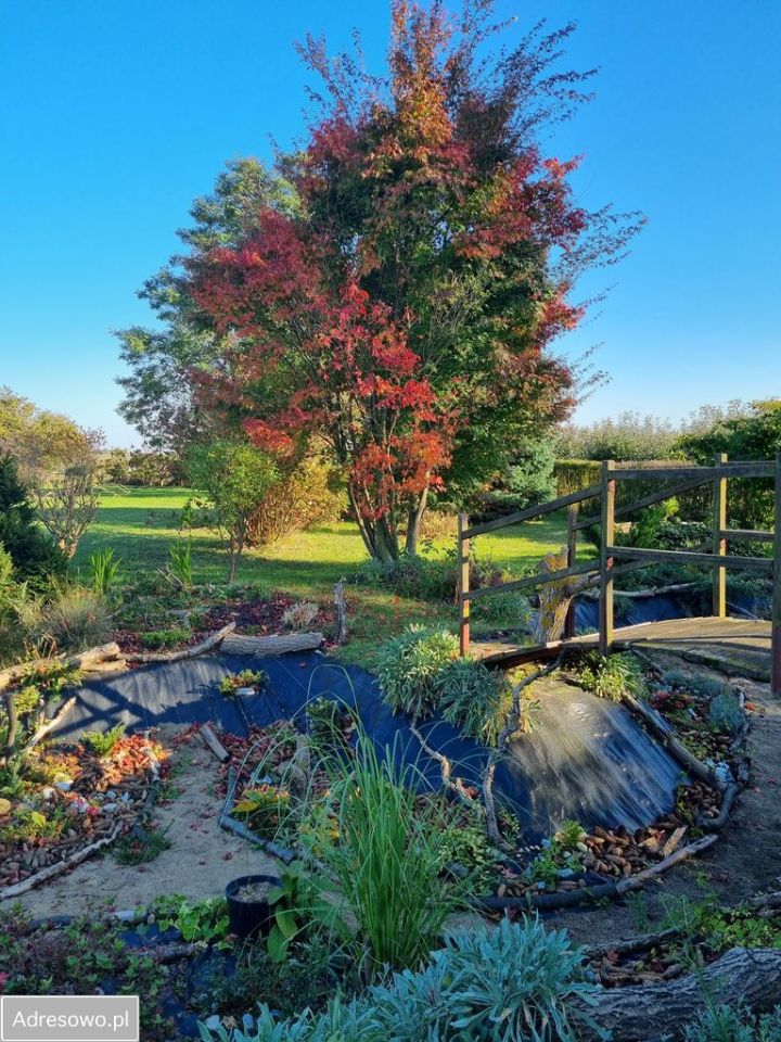 Działka rolno-budowlana Boduszyn. Zdjęcie 10