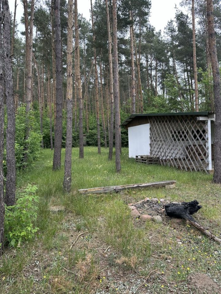 Działka Nagórki. Zdjęcie 3