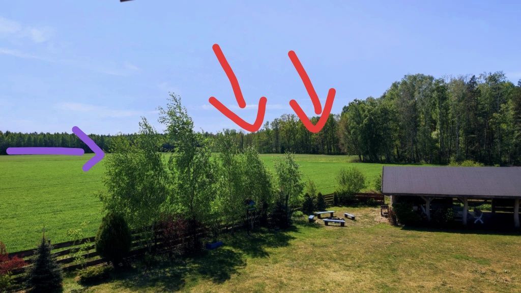 Działka rolno-budowlana Przepitki. Zdjęcie 4