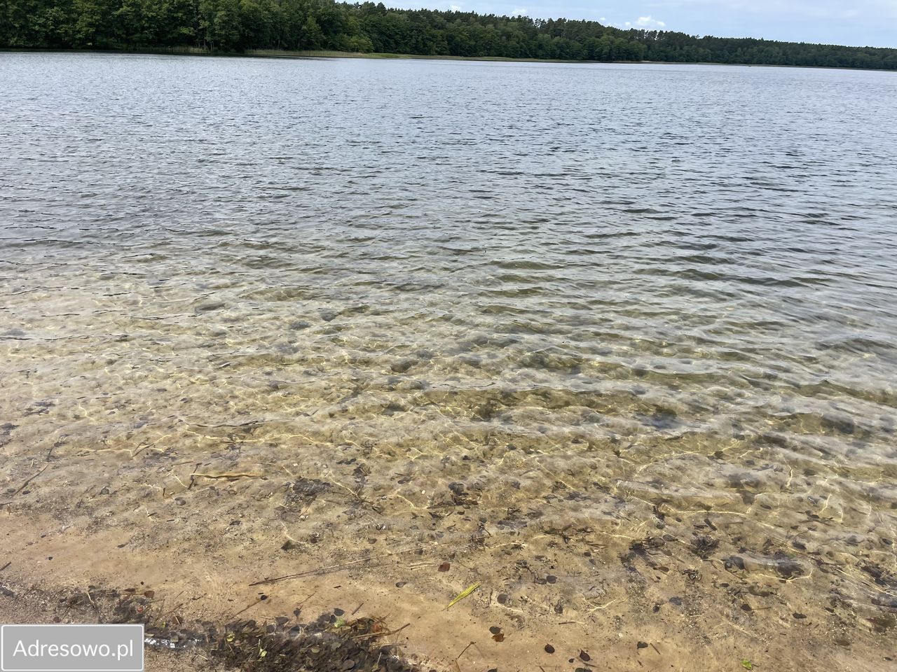 Działka budowlana Dołgie. Zdjęcie 6