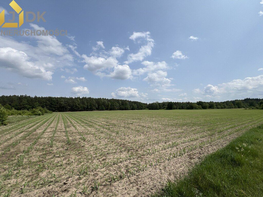 Działka rolna Marysin. Zdjęcie 6