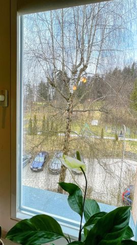 Mieszkanie 3-pokojowe Krynica-Zdrój. Zdjęcie 12