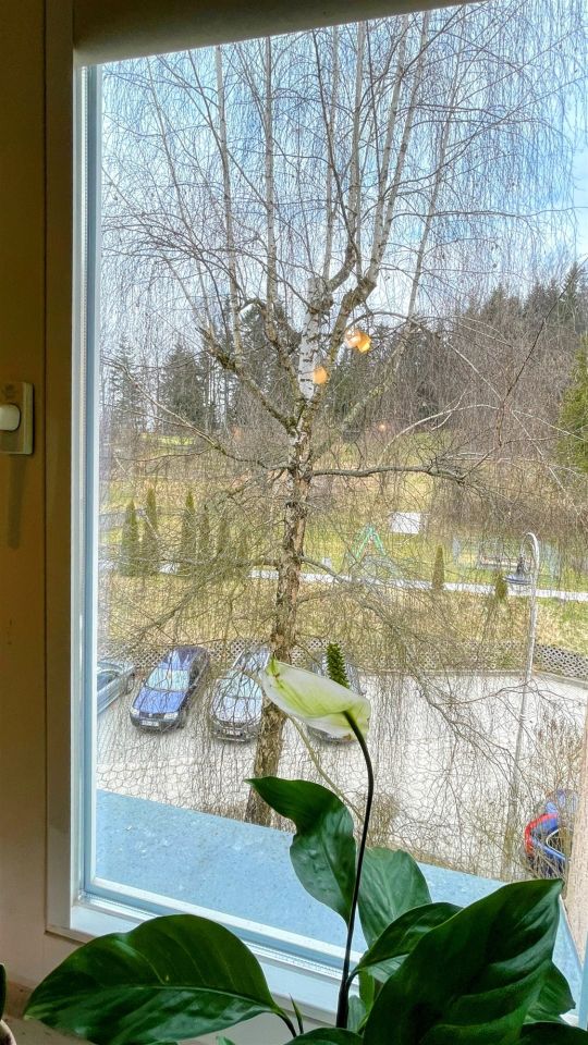 Mieszkanie 3-pokojowe Krynica-Zdrój. Zdjęcie 12