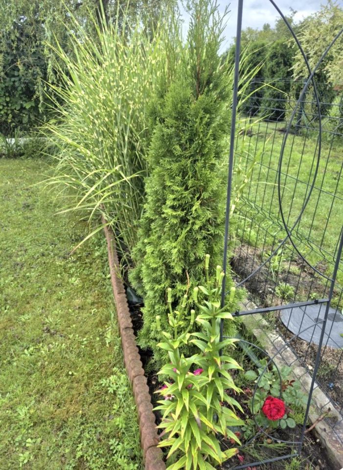 Działka rekreacyjna Zabrze, ul. Opawska. Zdjęcie 12