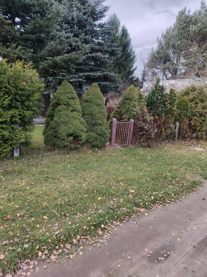 Działka rod Łódź Widzew, ul. Olkuska. Zdjęcie 10