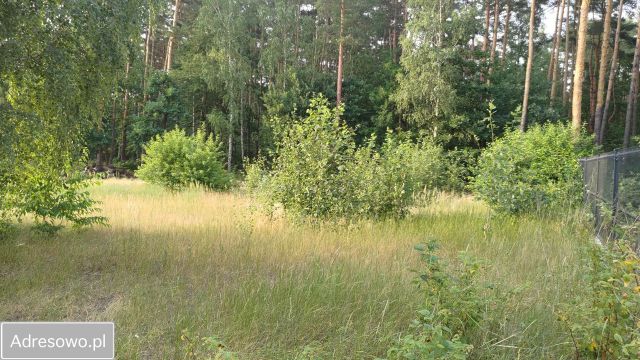 Działka budowlana Warszawa Wawer, ul. Wiązowska. Zdjęcie 8