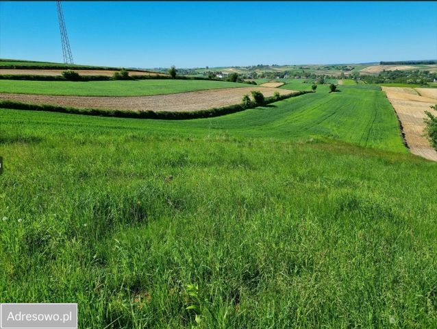 Działka rolno-budowlana Pałecznica, ul. Długa. Zdjęcie 1