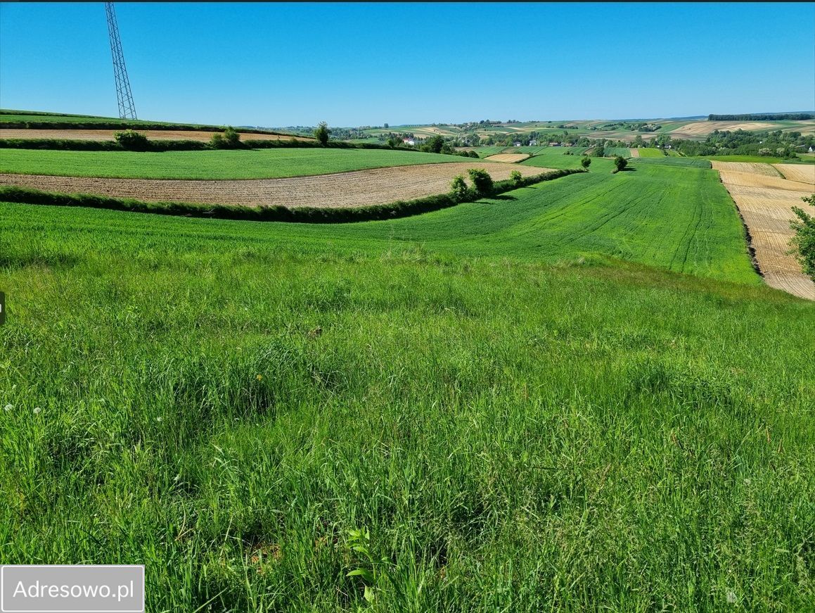 Działka rolno-budowlana Pałecznica, ul. Długa. Zdjęcie 1