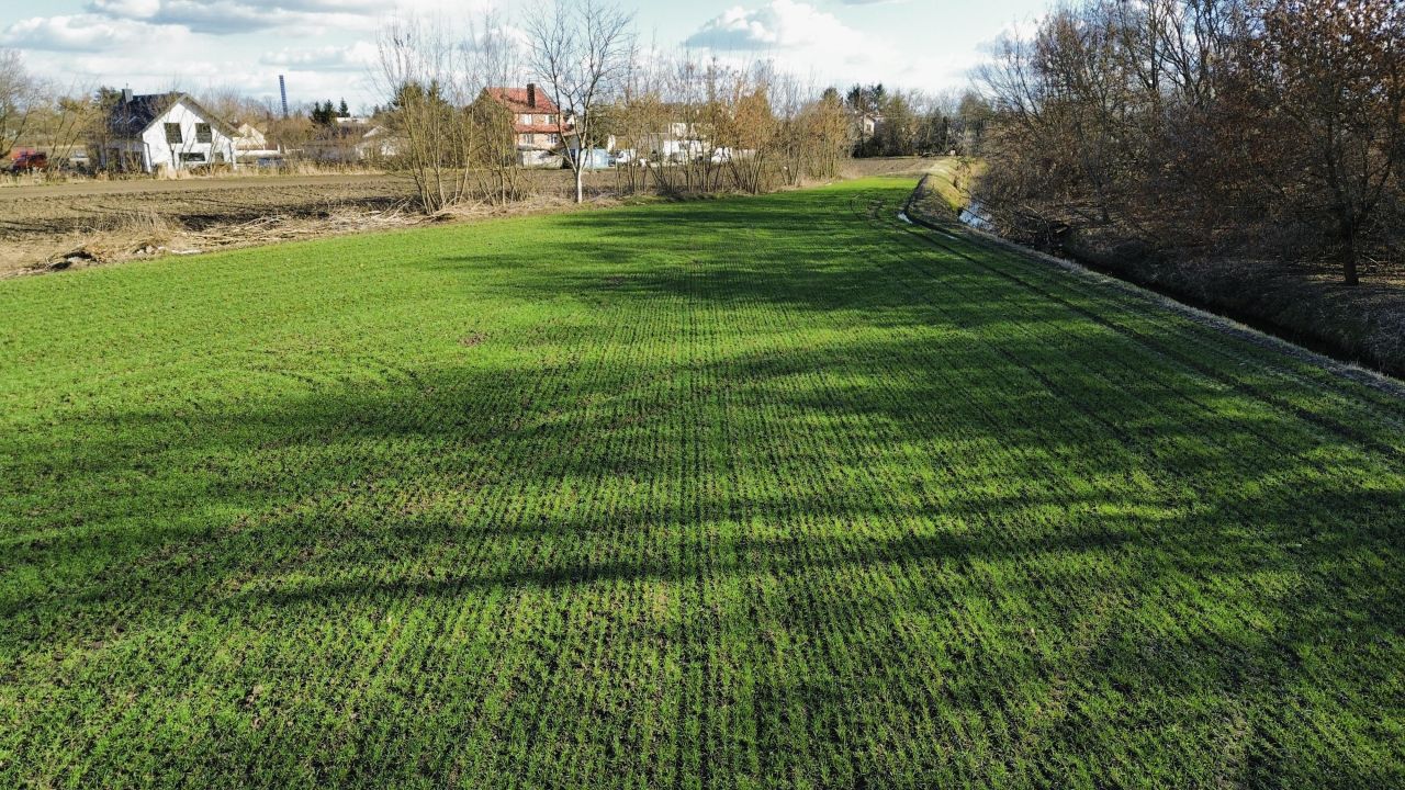Działka budowlana Święcice, ul. Źródlana. Zdjęcie 3