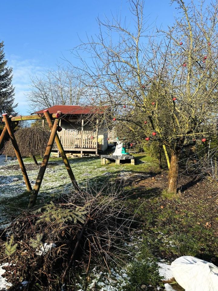 Działka rod Szczecin Centrum, ul. Bogumińska. Zdjęcie 3