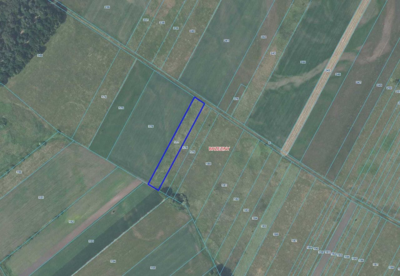 Działka rolna Brzeziny