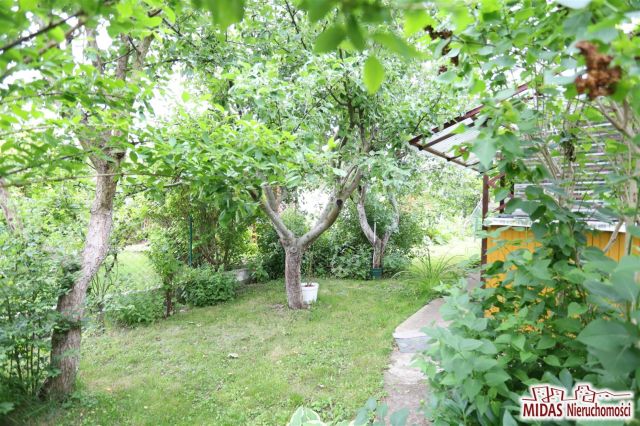 Działka rod Ciechocinek, ul. Adama Mickiewicza. Zdjęcie 2