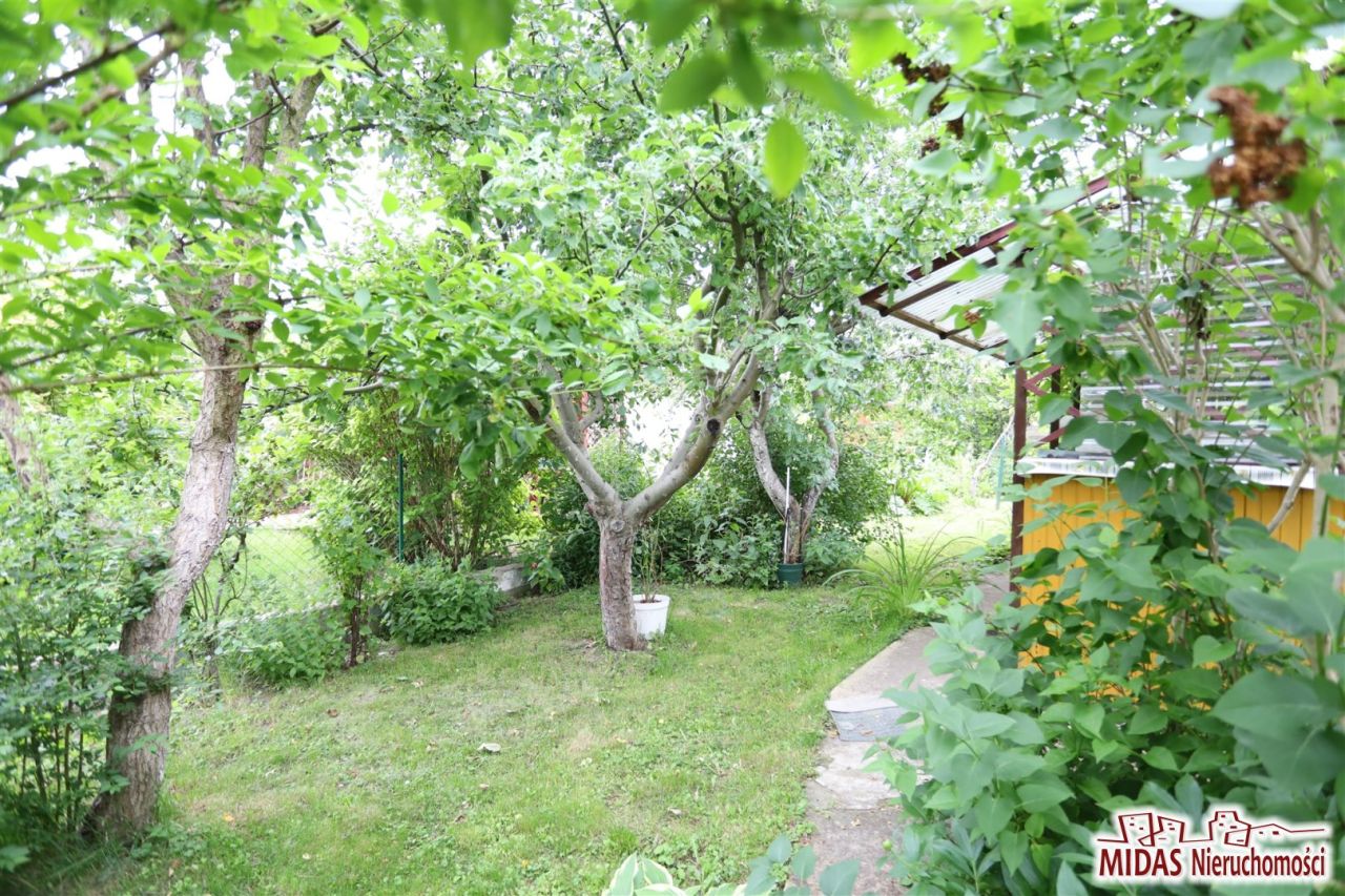 Działka rod Ciechocinek, ul. Adama Mickiewicza. Zdjęcie 2