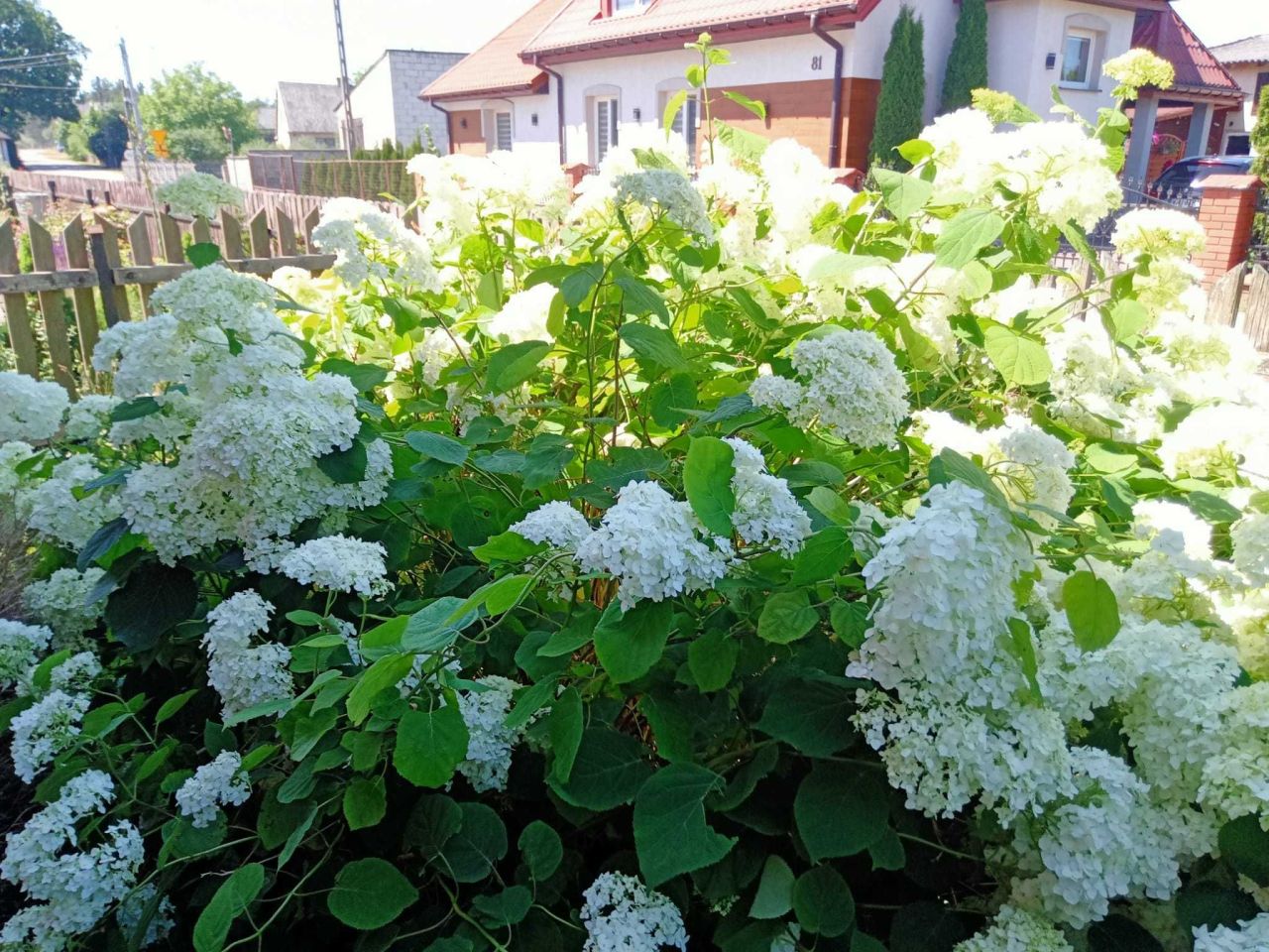 dom wolnostojący, 3 pokoje Straszewy. Zdjęcie 5