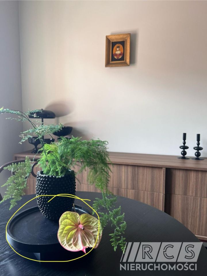 Mieszkanie 2-pokojowe Wrocław Stare Miasto, ul. Odrzańska. Zdjęcie 5