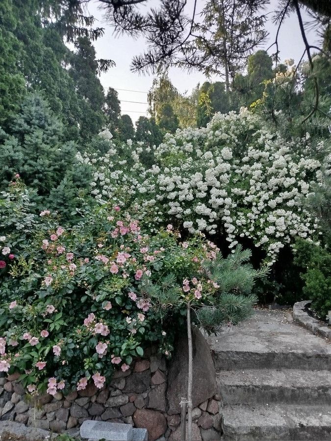 dom wolnostojący, 6 pokoi Iwiny, ul. Tadeusza Kościuszki. Zdjęcie 15