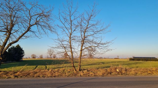 Działka rolno-budowlana Masłowo Masłowskie Huby. Zdjęcie 1