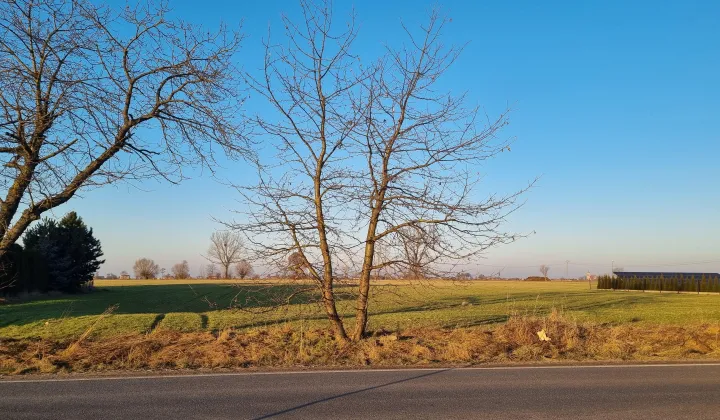 Działka rolno-budowlana Masłowo Masłowskie Huby