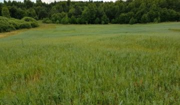 Działka rolno-budowlana Błotnia