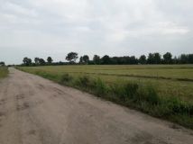 Działka rolno-budowlana Występ. Zdjęcie 2