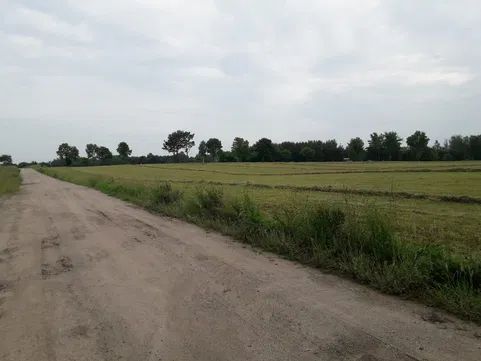 Działka rolno-budowlana Występ. Zdjęcie 3