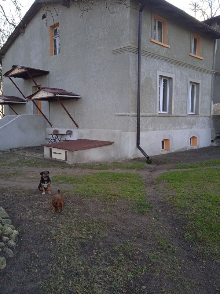 Mieszkanie 2-pokojowe Sierosławek. Zdjęcie 2