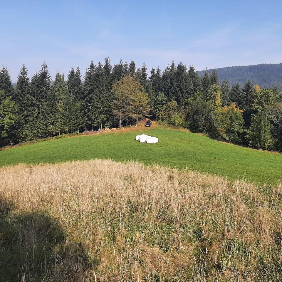 Działka rolna Rabka-Zdrój Zaryte, ul. Zaryte. Zdjęcie 4