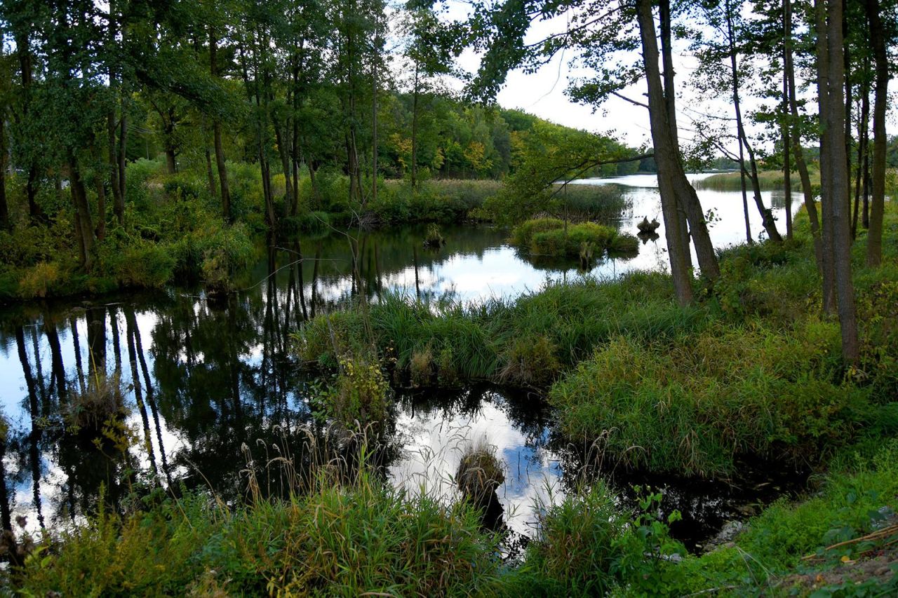 Mieszkanie 2-pokojowe Siemiatycze, ul. 11 Listopada. Zdjęcie 22