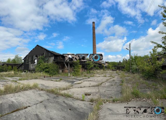 Działka inwestycyjna Lisica. Zdjęcie 3