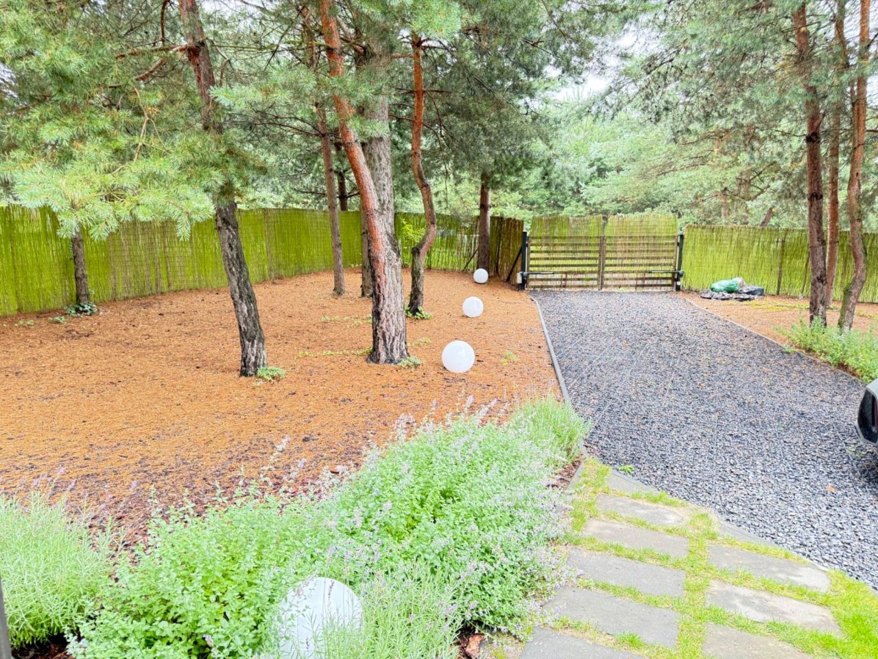 Działka rekreacyjna Wytyczno Kochanowskie. Zdjęcie 7