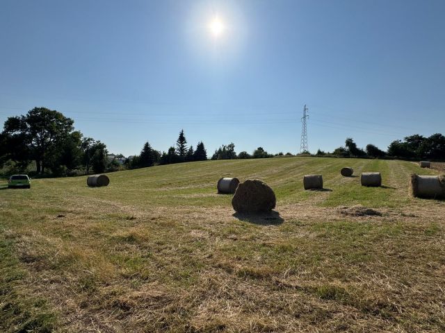 Działka rolna Żerdziny. Zdjęcie 6