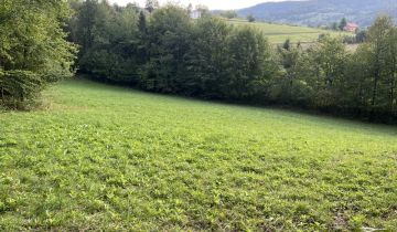 Działka rekreacyjna Frycowa