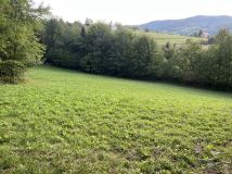 Działka rekreacyjna Frycowa. Zdjęcie 1