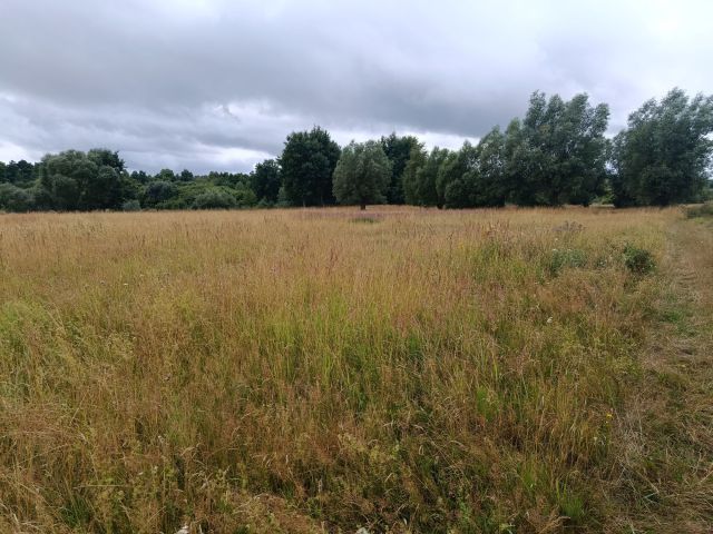 Działka rolno-budowlana Brojce. Zdjęcie 1