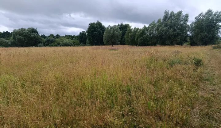Działka rolno-budowlana Brojce