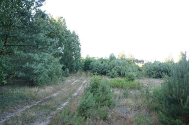 Działka rolno-budowlana Obrowo. Zdjęcie 1