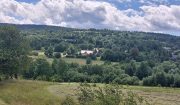 dom wolnostojący, 10 pokoi Chromiec